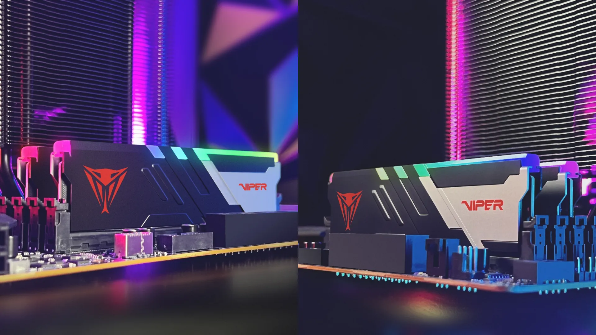 Оперативна памʼять Patriot Viper Venom RGB DDR5 64GB 2x32GB 6000MHz (PVVR564G600C36K)