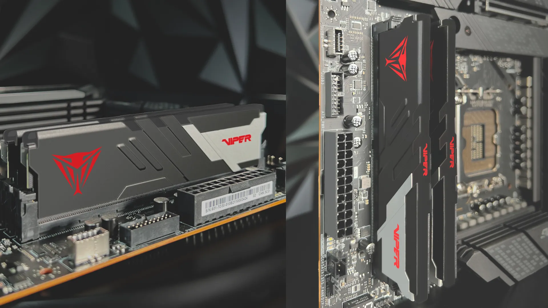Оперативна памʼять Patriot Viper Venom DDR5 16GB 2x8GB 5200MHz (PVV516G520C36K)