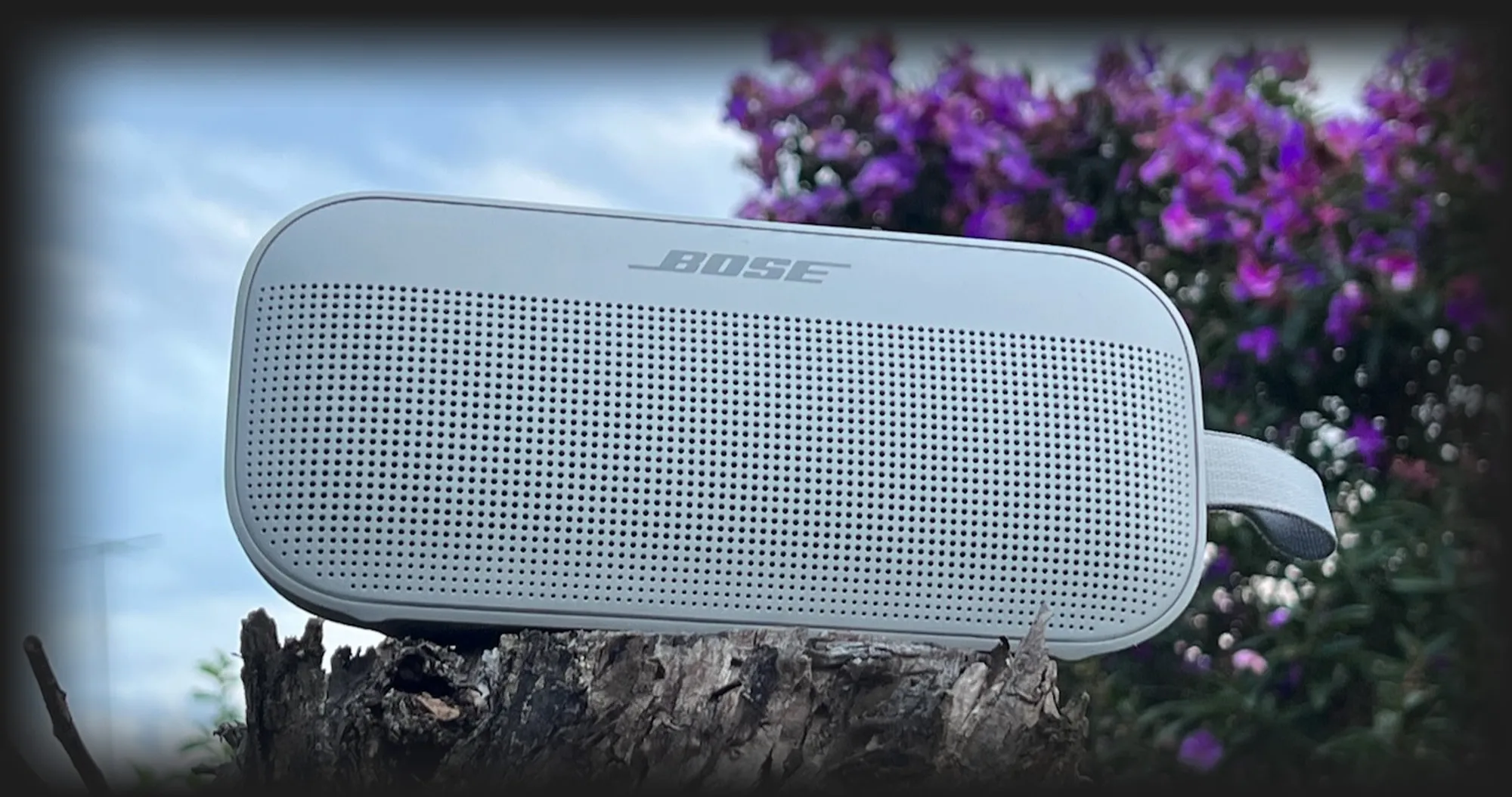 Акустика Bose Soundlink Flex (White Smoke)