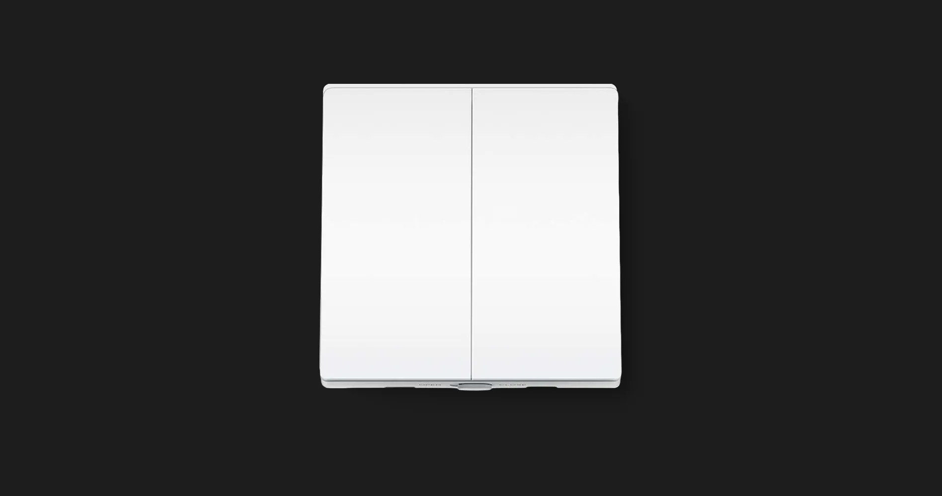 Розумний вимикач світла TP-LINK Tapo S220, 2-канальний 1-сторонній
