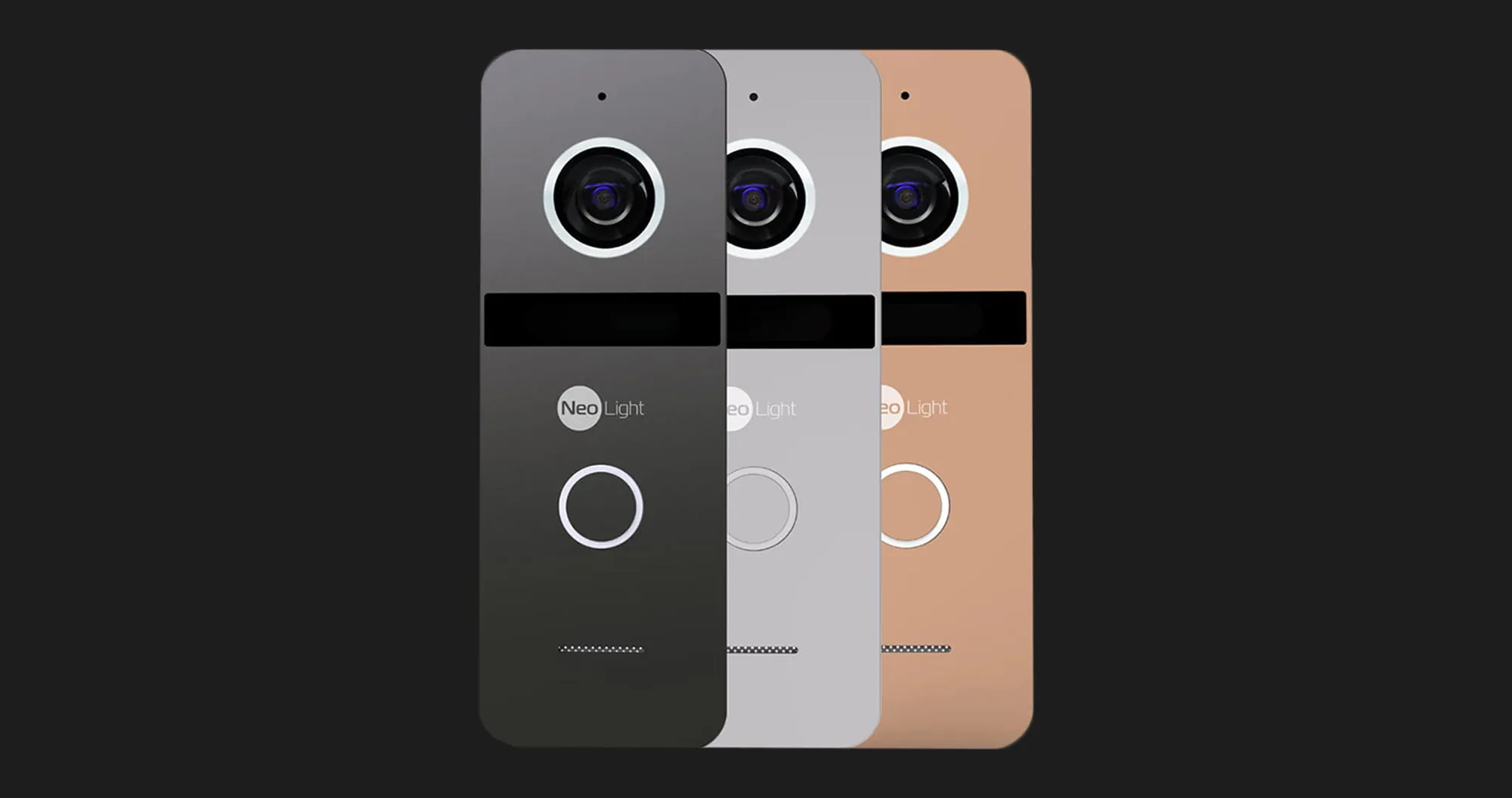 Виклична панель Neolight Solo (Silver)