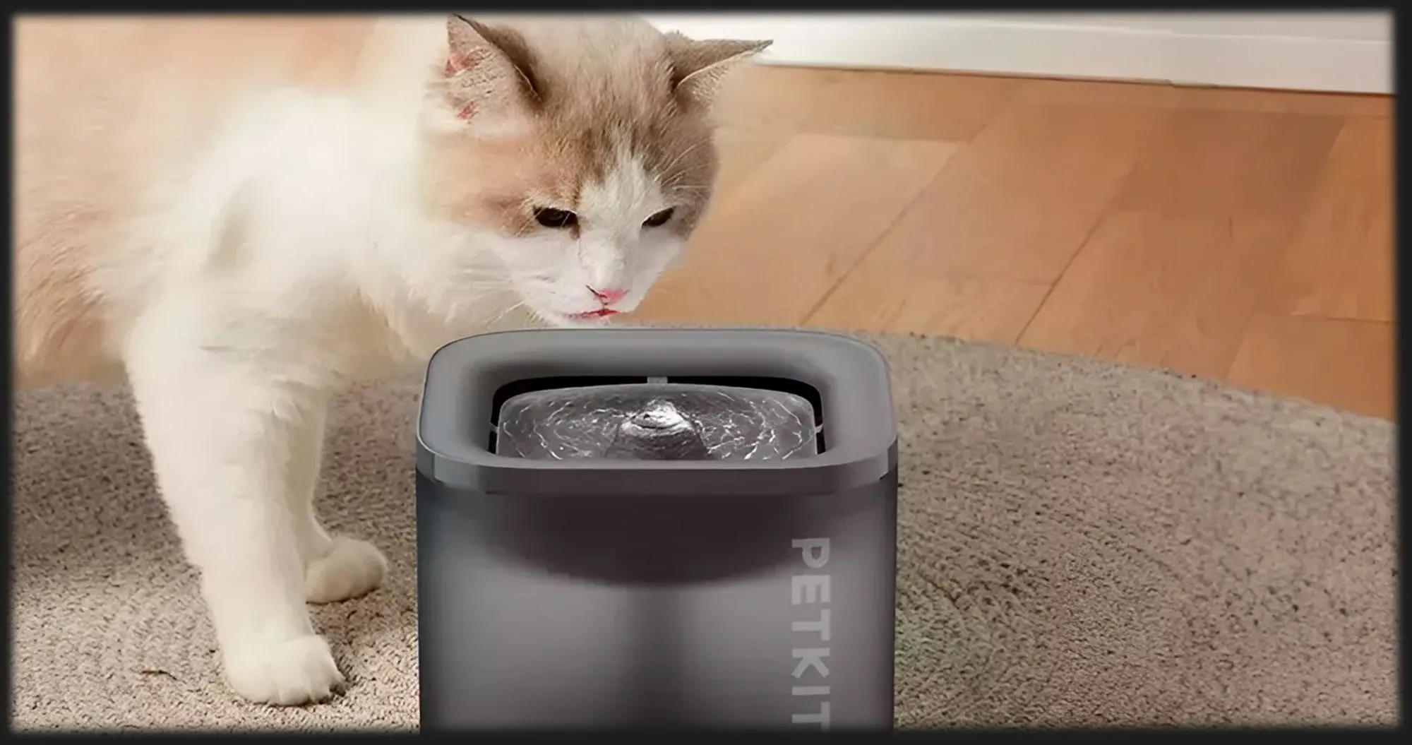 Поїлка PETKIT Eversweet Solo SE Smart Pet Drinking Fountain (White)
