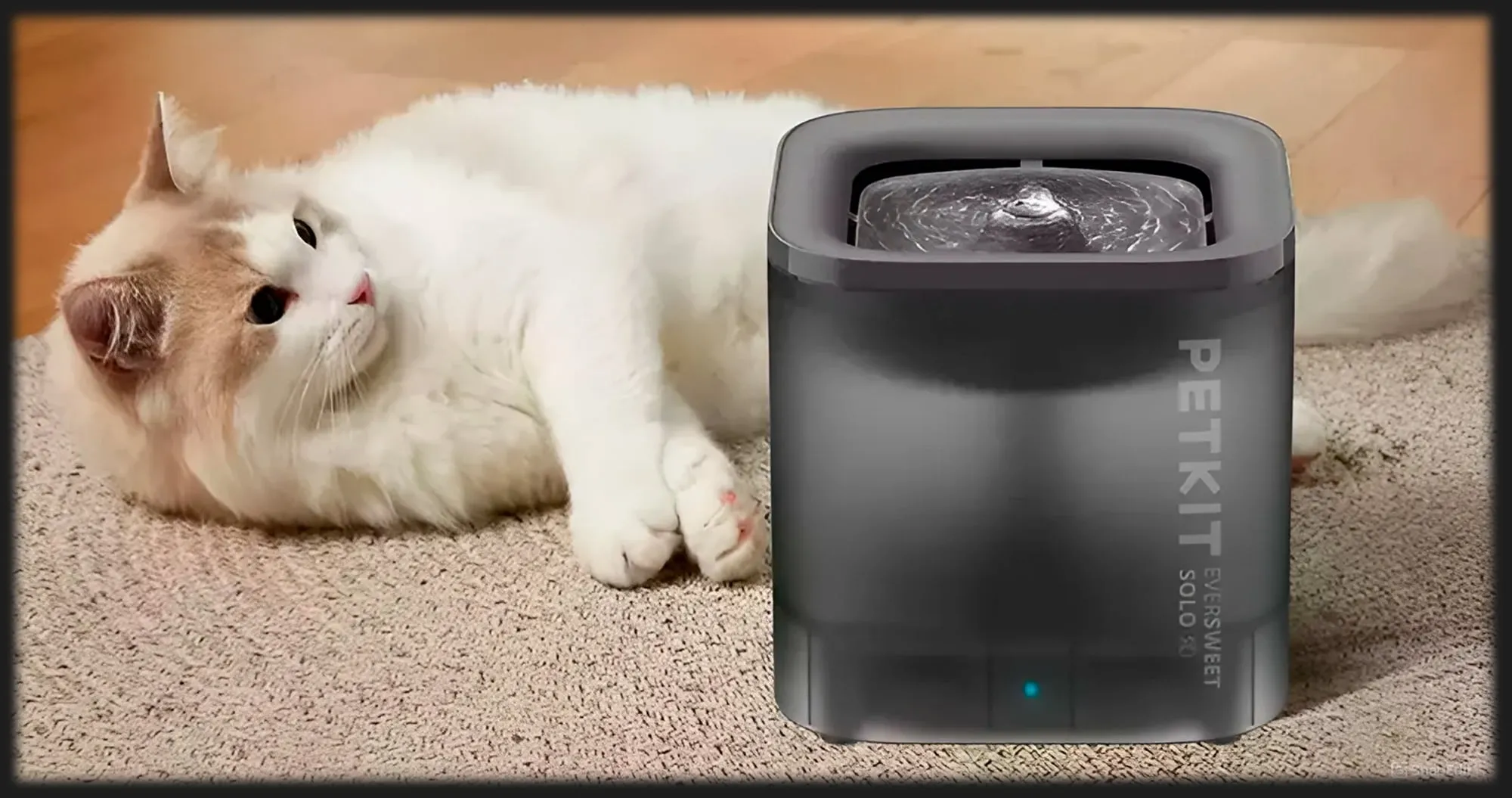 Поїлка PETKIT Eversweet Solo SE Smart Pet Drinking Fountain (White)