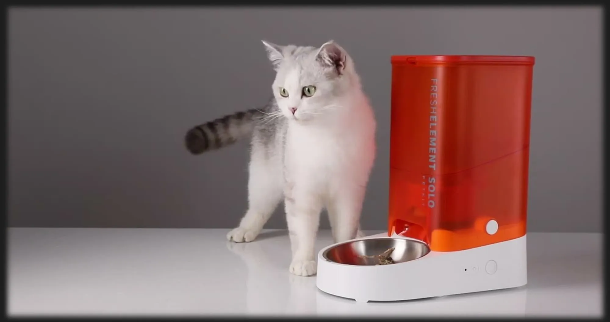 Смарт годівниця PETKIT Fresh Element SOLO (White)