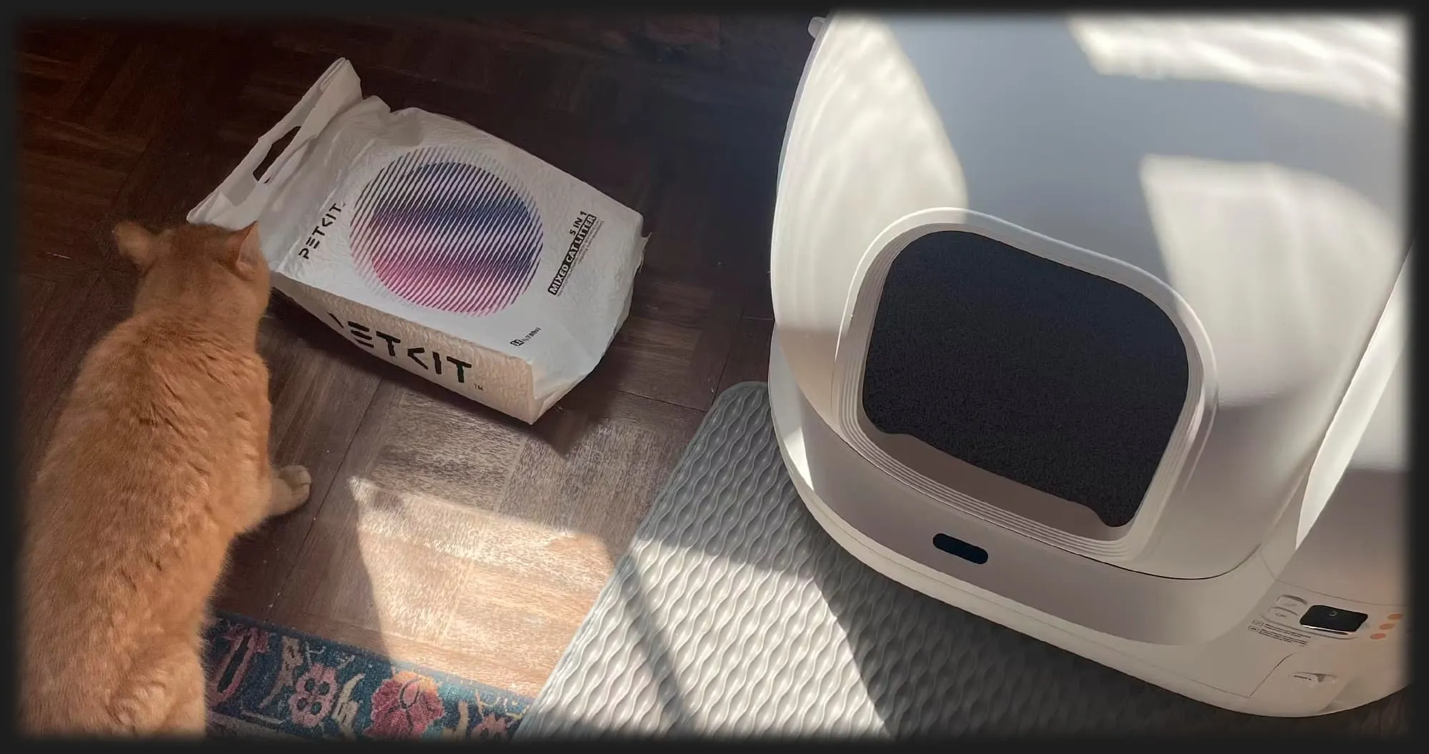 Смарт автоматичний лоток PETKIT Pura Max Self-Cleaning Cat Litter Box (White)