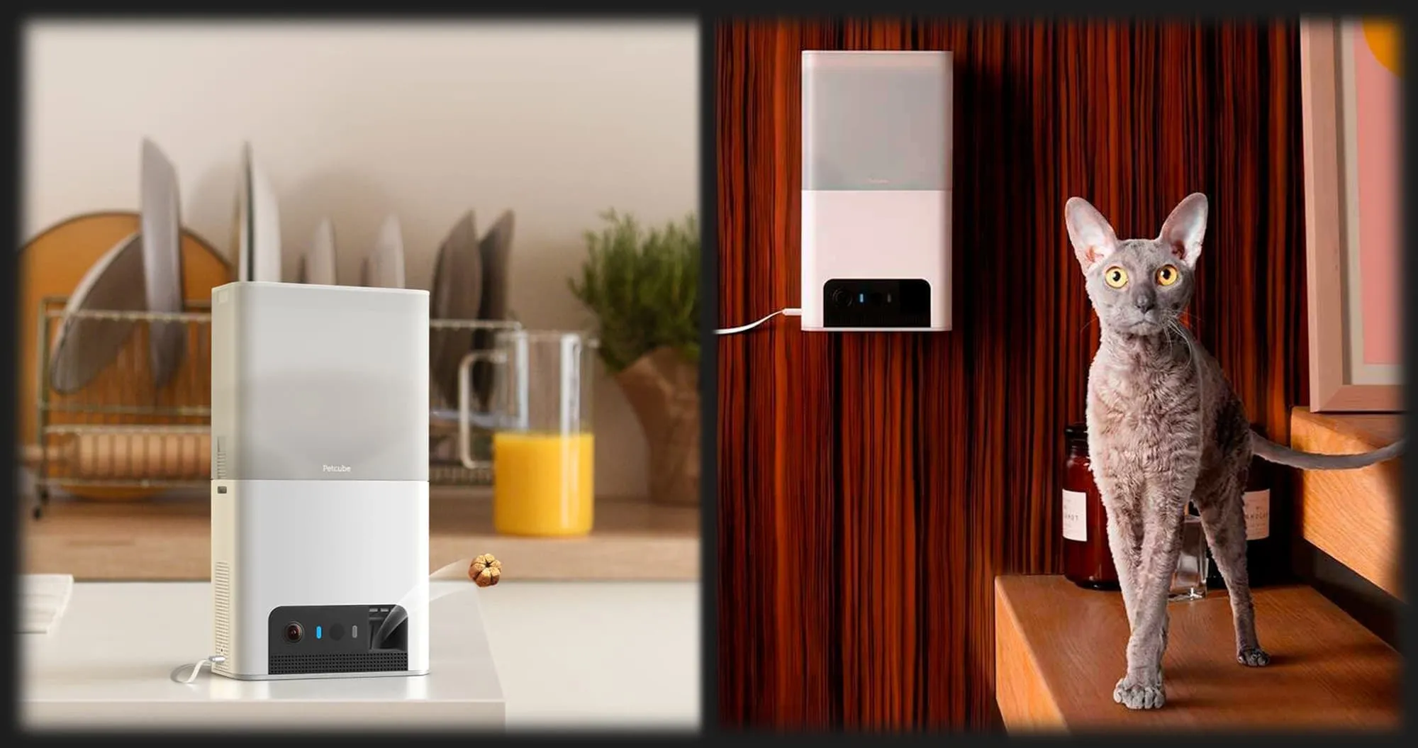 Інтерактивна HD камера Petcube Bites 2 Lite (Silver)