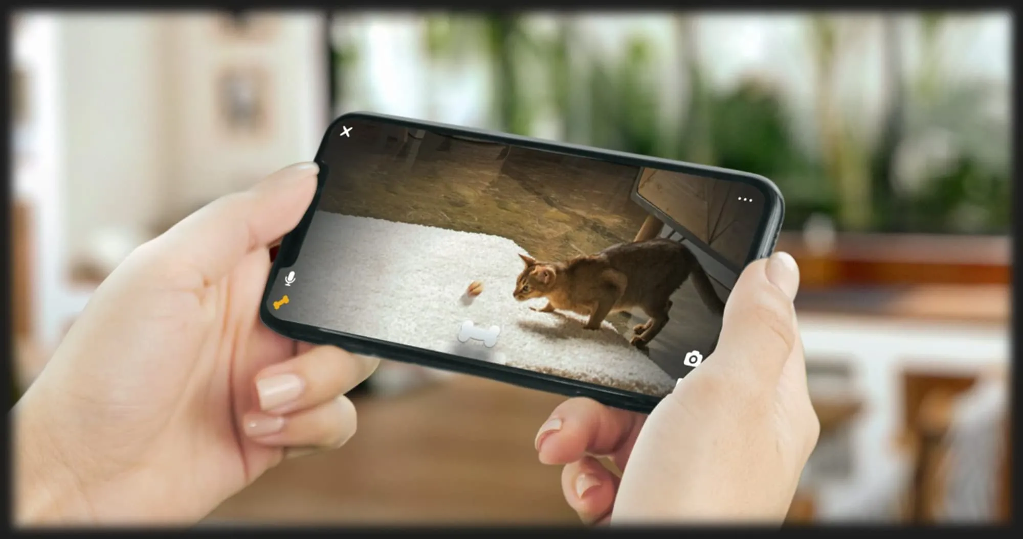 Інтерактивна HD камера Petcube Bites 2 Lite (Silver)