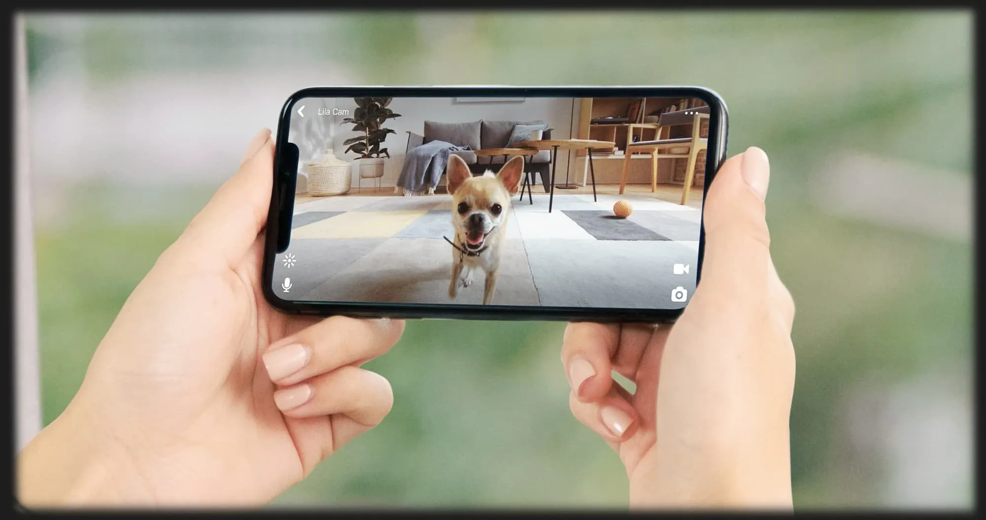 Інтерактивна HD камера Petcube Bites 2 Lite (Silver)