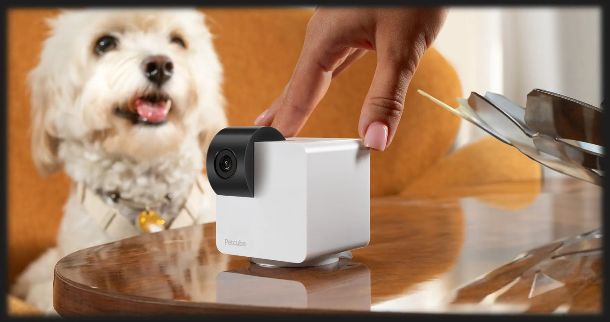 Компактна HD камера Petcube Cam 360 (White)