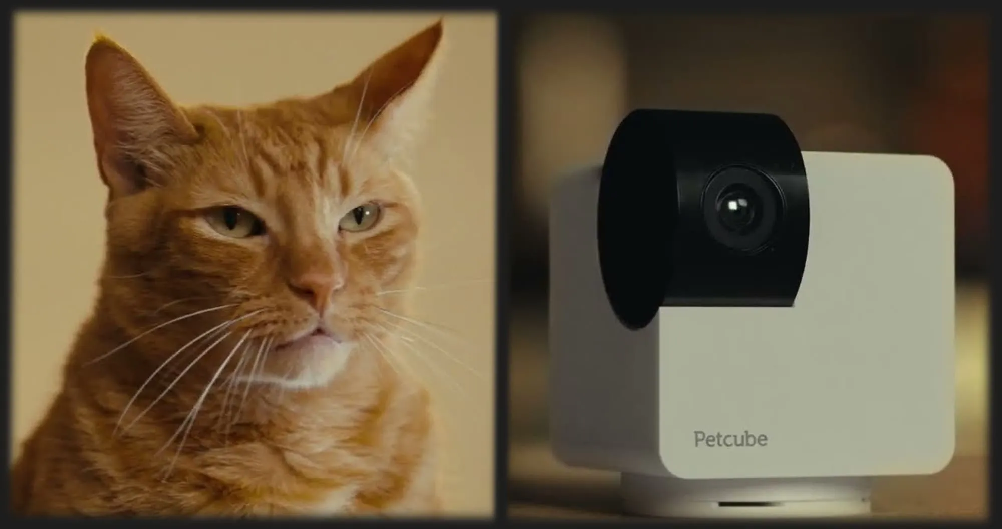 Компактна HD камера Petcube Cam 360 (White)