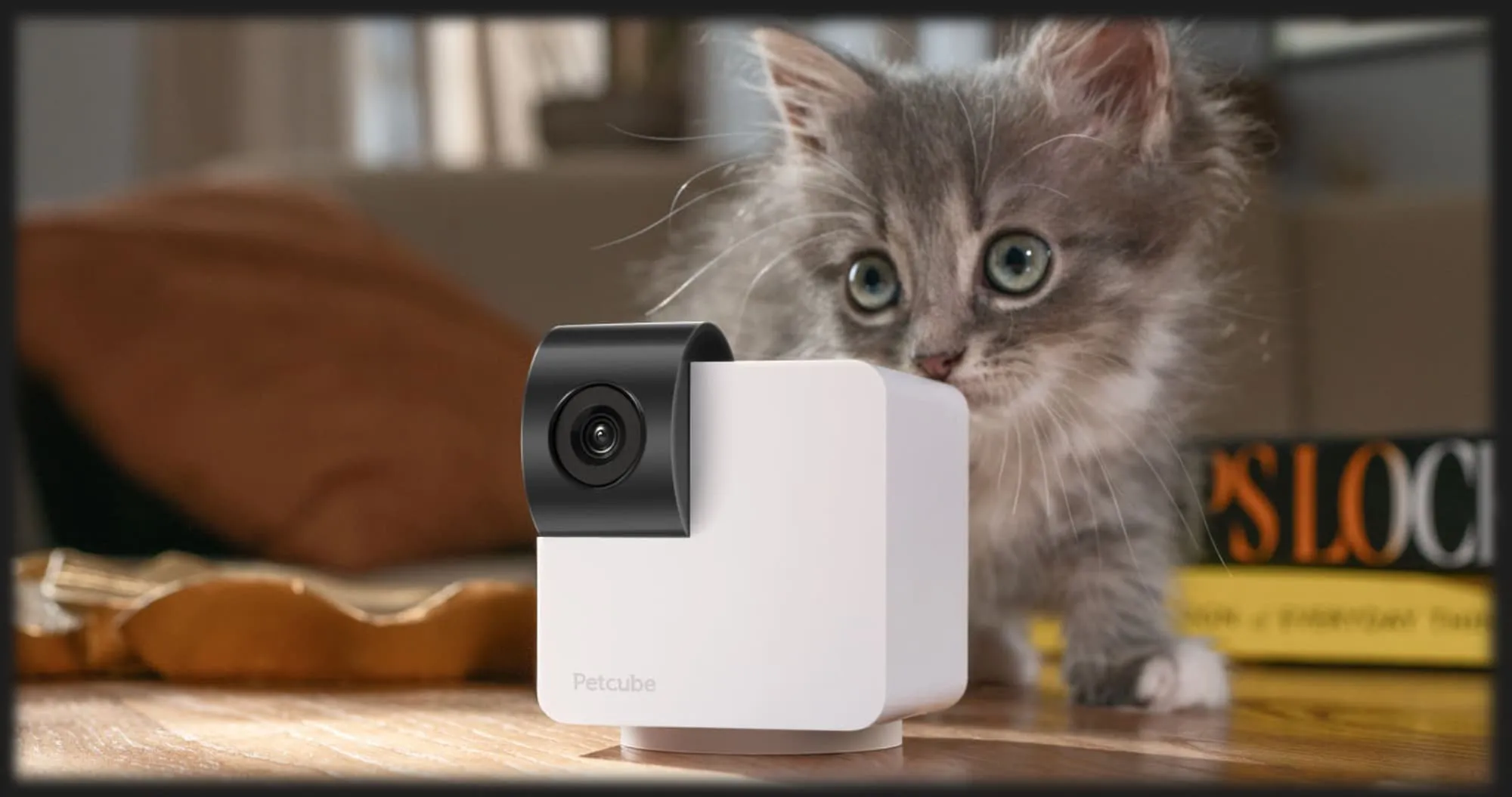 Компактна HD камера Petcube Cam 360 (White)