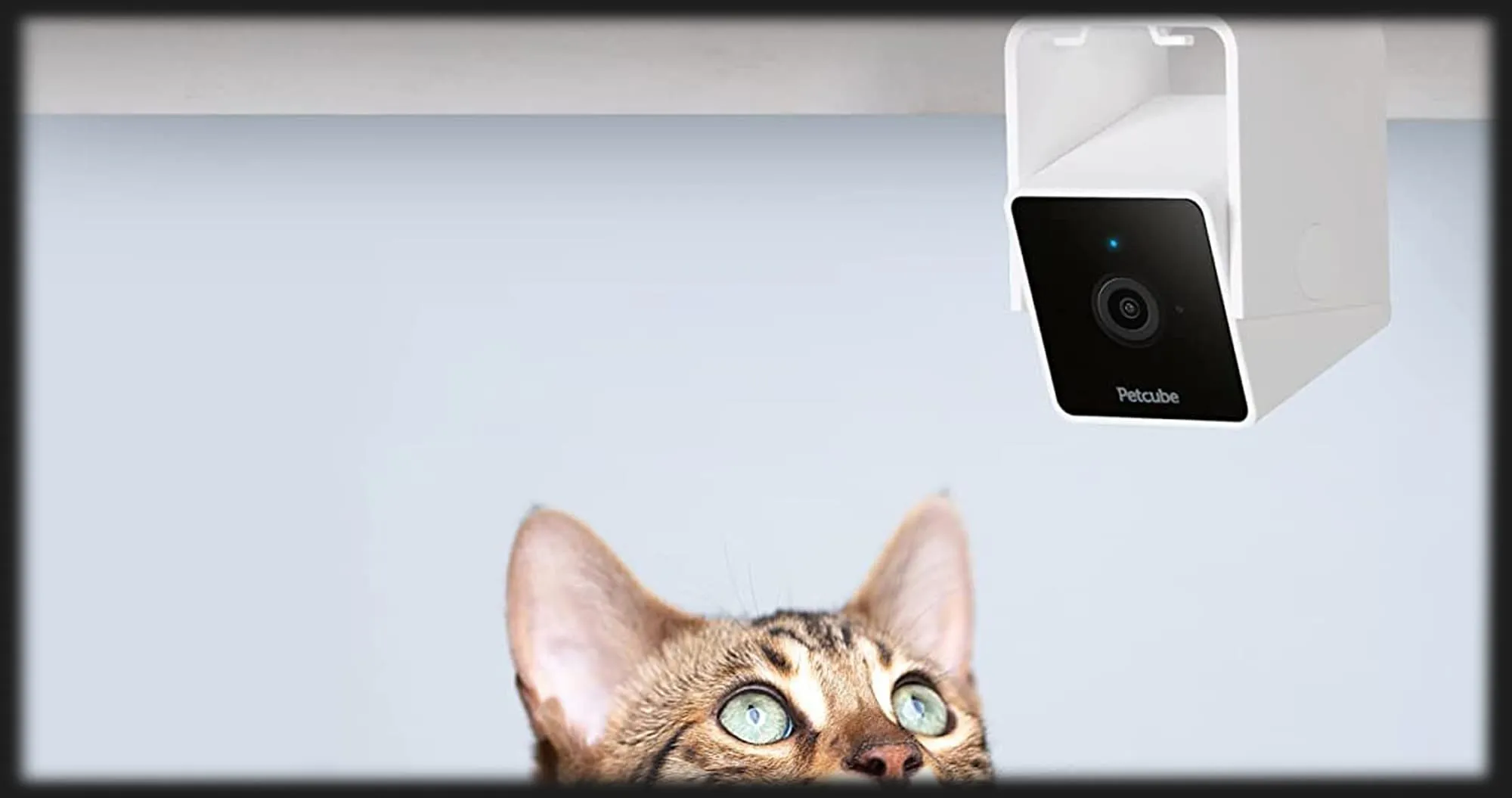 Компактна HD камера Petcube Cam (White)