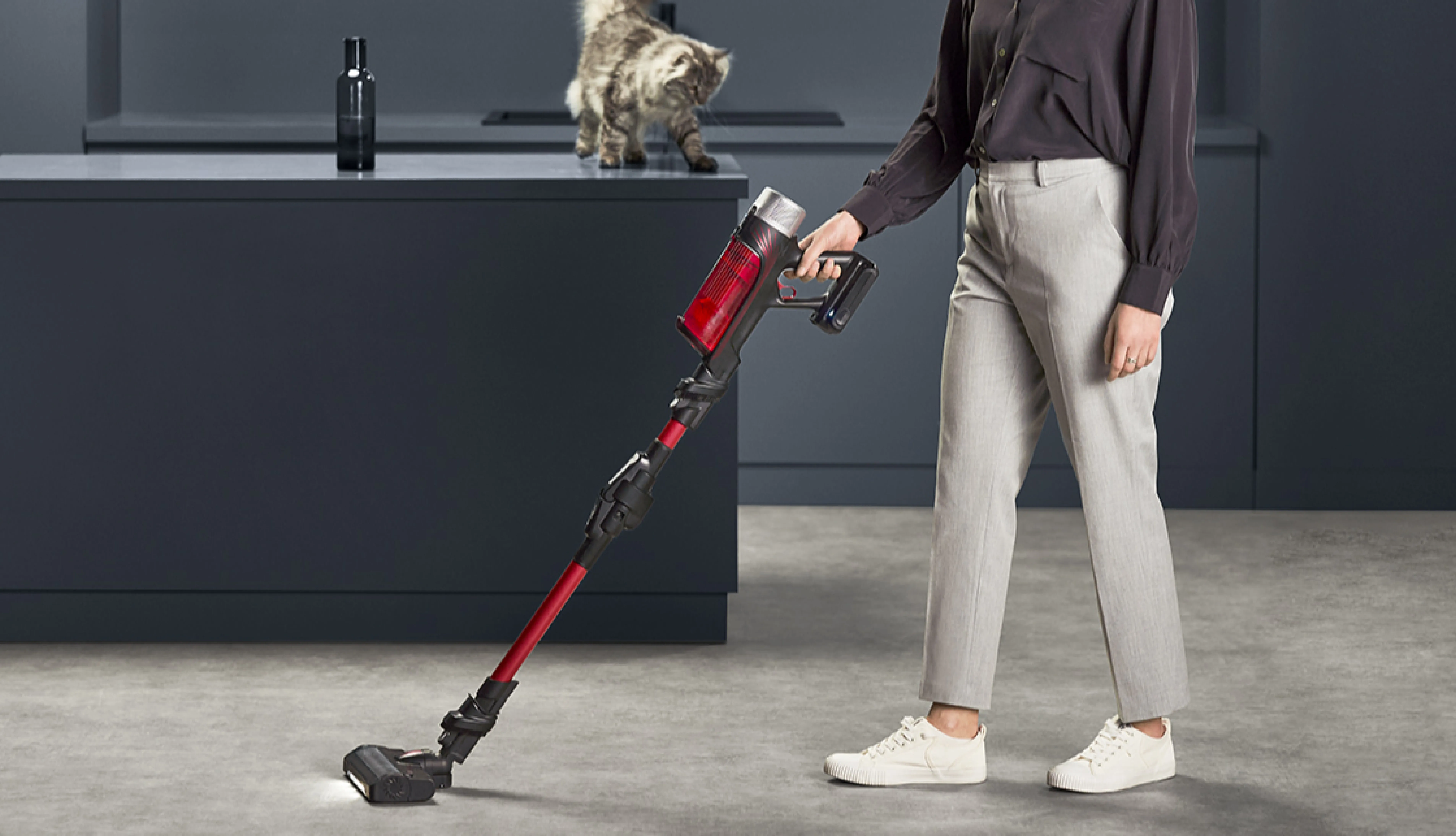 Пилосос Rowenta X-Force Flex 12.60 Auto Animal (RH98A9WO)